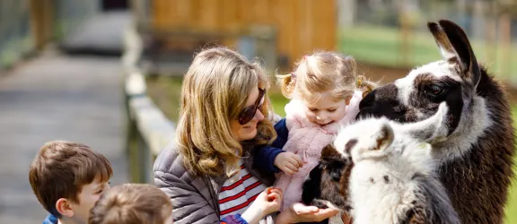 Kinder mit Mama im Tierpark vor dem Lama Gehege