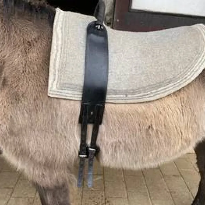 Sattel mit Filz