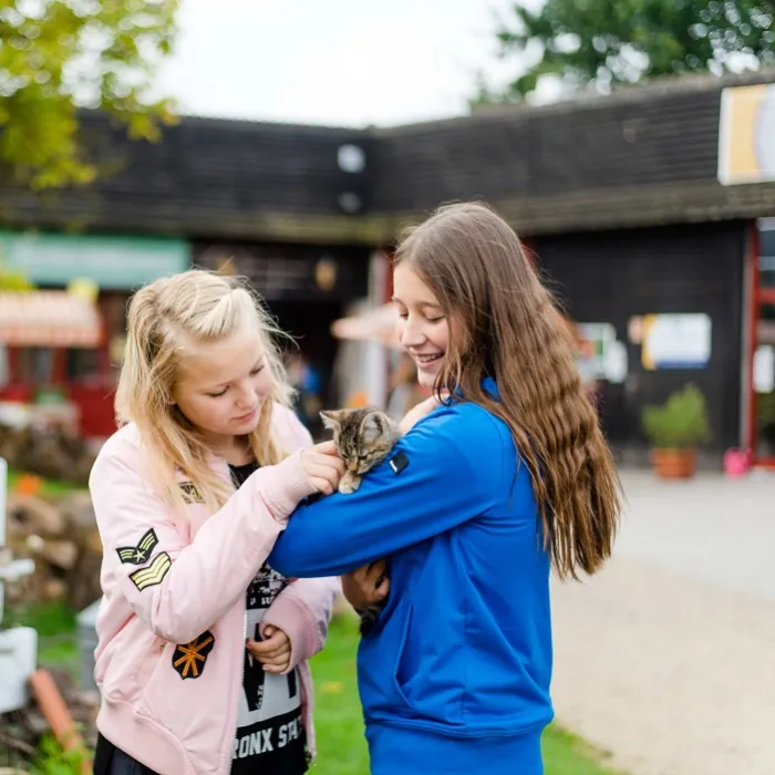Zwei Mädchen streicheln eine Katze