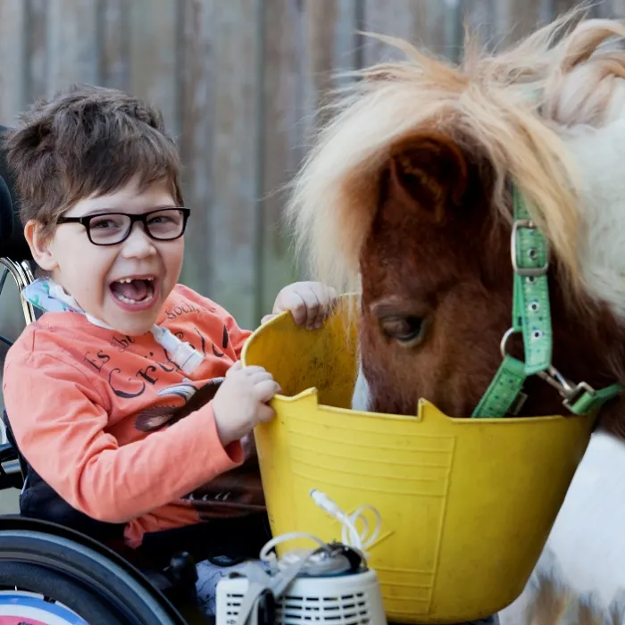 Ein Kind im Rollstuhl füttert ein Pferd
