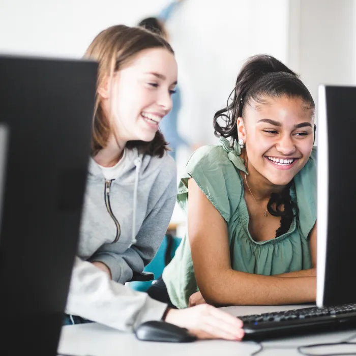 büromanagement, pc, jung