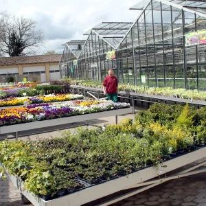 Rummelsberger Gärtnerei