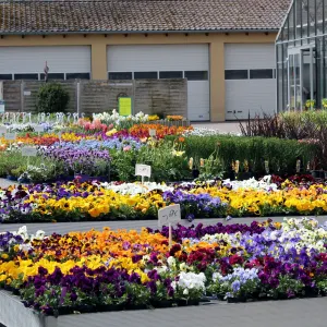 Rummelsberger Gärtnerei