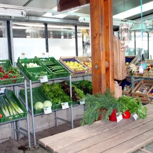 Rummelsberger Gärtnerei