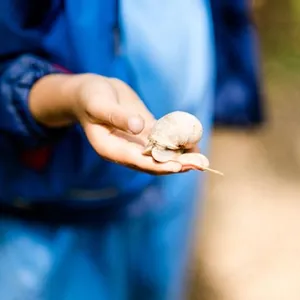 Kindergarten Luise - Nürnberg