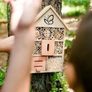 Kindergarten Luise - Nürnberg
