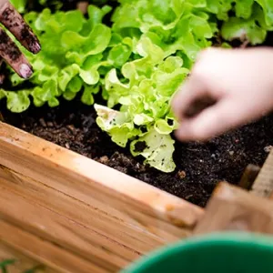 Kindergarten Lichtenhof - Nürnberg