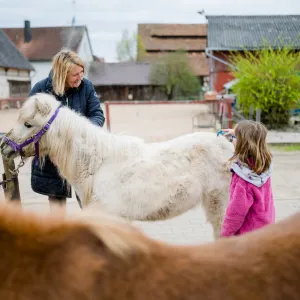 Mädchen putzt Pferd