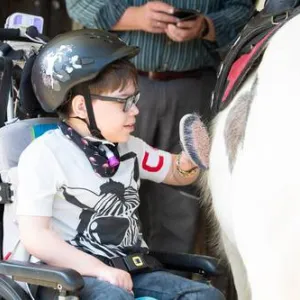 Kind im Rollstuhl striegelt Pferd