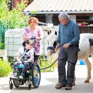 Kind im Rollstuhl führt ein Pferd an der Leine