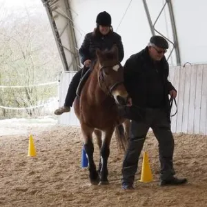 Kind sitzt auf Pferd.