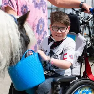 Kind im Rollstuhl füttert Pferd