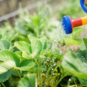 RTL - Kinderhaus - Nürnberg