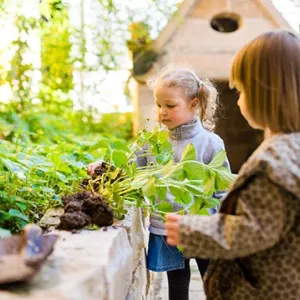 Krippenkinder erkunden das Hochbeet