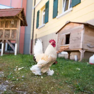 Ansbach - Wohnpark Windmühle (Standort)