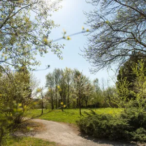 Ansbach - Wohnpark Windmühle (Standort)