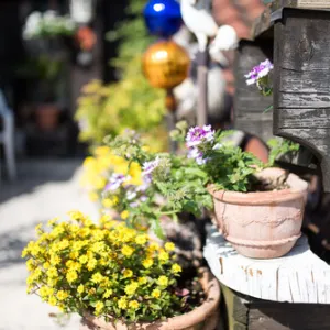 Garmisch-Partenkirchen – Lenzheim