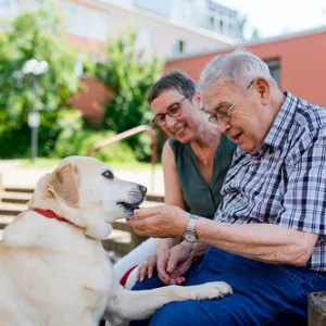 Diakonisches Seniorenzentrum Haus Lehmgruben Marktheidenfeld