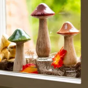 Holzpilze auf der Fensterbank