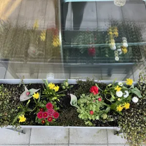 Senioren-Tagespflege SenTa am Perlenbach in Rehau