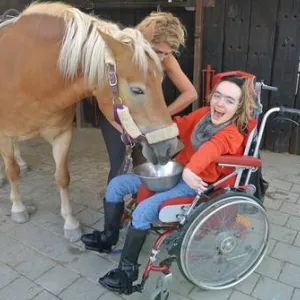 Frau im Rollstuhl streichelt ein Pferd