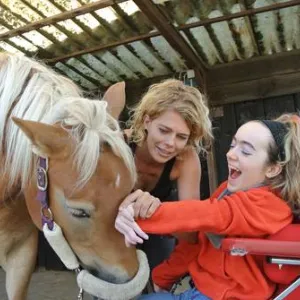 Frau im Rollstuhl streichelt ein Pferd