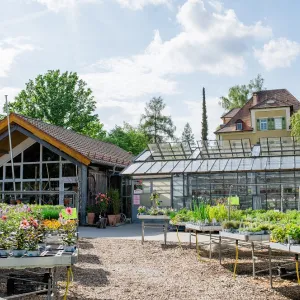 Gewächshaus von außen