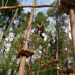 Blick in den Waldseilgarten