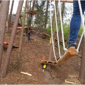 Blick in den Waldseilgarten