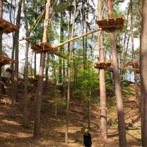 Blick in den Waldseilgarten