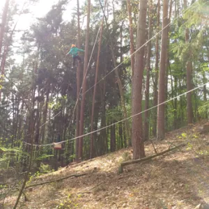 Blick in den Waldseilgarten