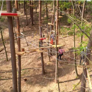 Blick in den Waldseilgarten