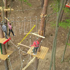 Blick in den Waldseilgarten