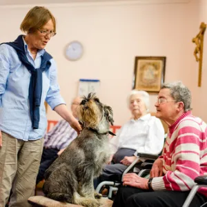 Vier ältere Menschen sitzen im Kreis. Ein Hund schaut seine Besitzerin an.