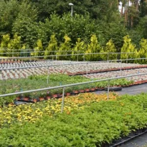 Auhof Gärtnerei Freiland