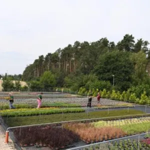 Auhof Gärtnerei Freiland