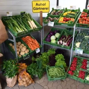 Auhof Gärtnerei Gemüse