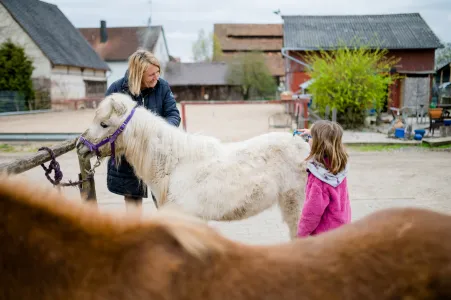 Mädchen putzt Pferd