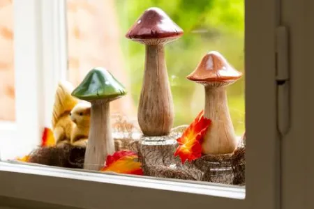 Holzpilze auf der Fensterbank