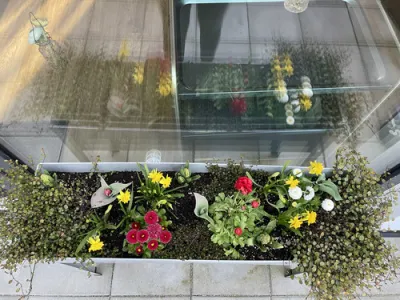Senioren-Tagespflege SenTa am Perlenbach in Rehau