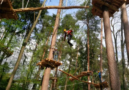 Blick in den Waldseilgarten