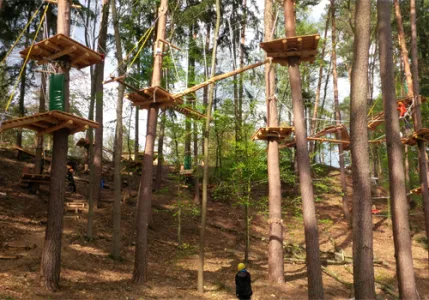 Blick in den Waldseilgarten