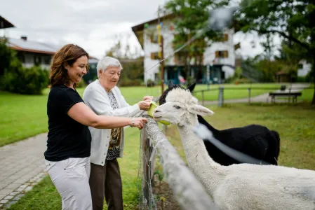 Zwei Frauen Füttern ein weißes und ein schwarzes Lama