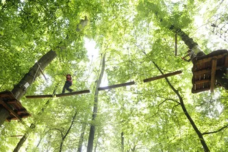 Blick in den Waldseilgarten