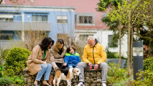 Sozialpädagogische Familienhilfe