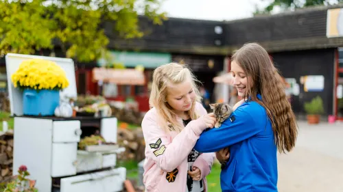 Fragen und Antworten