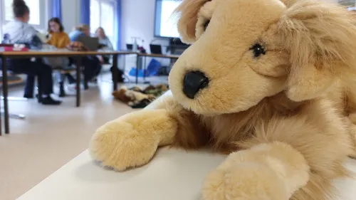 Geduldiger Zuhörer - die Hunde-Puppe lauscht der Unterrichtseinheit der angehenden Heilpädagog*innen