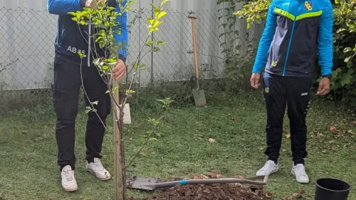 Baumpflanzaktion mit Fußballer*innen vom Fußballclub Leipheim