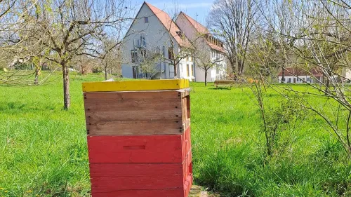 Ein Bienenkasten steht auf der inklusiven Streuobstwiese am Haus Weiher
